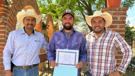 Capacitación de Excelencia: Curso de Inseminación Artificial en Bovinos