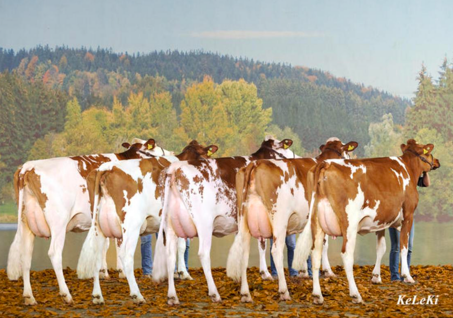 LEONARD DAUGHTERS