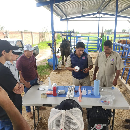 Curso de Inseminación Artificial en Bovinos – 13 al 15 de Noviembre de 2025