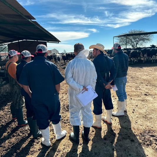 Curso de Podología Bovina - 21 al 23 de Noviembre del 2024