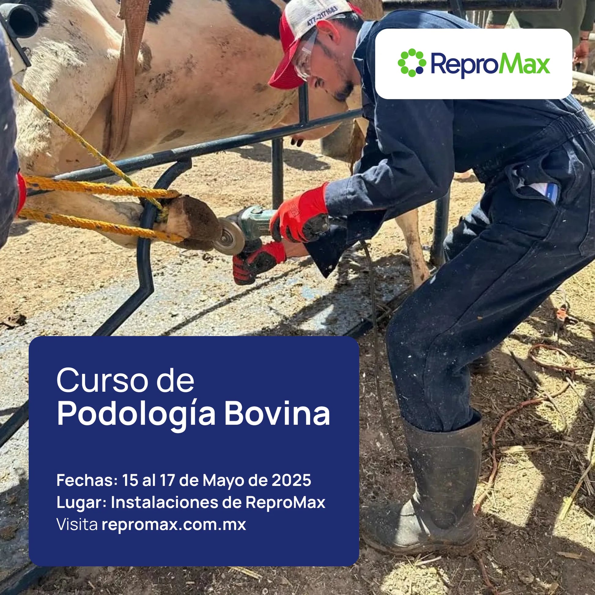 ReproMax-Curso-PB-15-17-May-2025