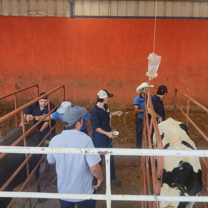 Curso de Inseminación Artificial en Bovinos - 22 al 24 de Mayo de 2025