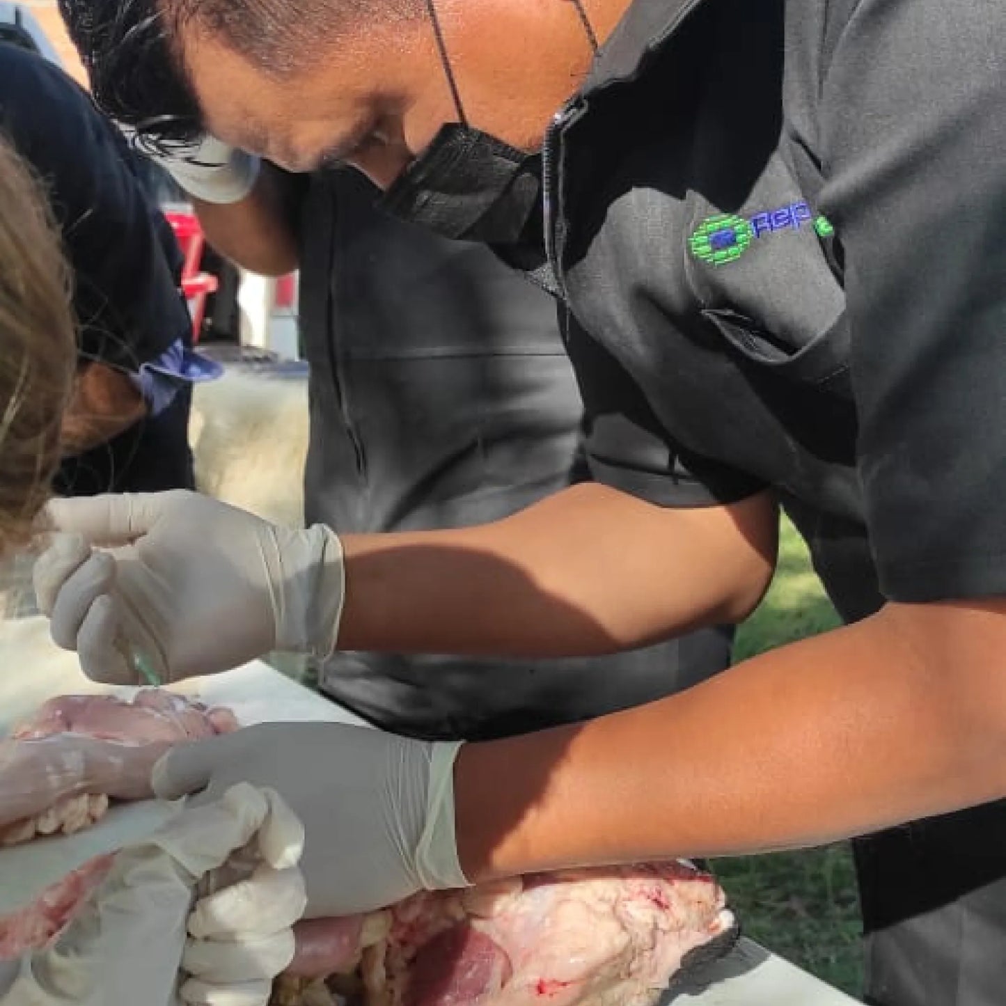 Curso de Inseminación Artificial en Bovinos - 22 al 24 de Mayo de 2025
