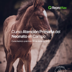 Curso Atención Primaria del Neonato en Campo – 20 de Junio 2025